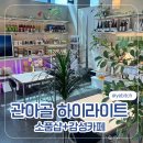 관아골 | [충주 관아골하이라이트] 감성소품샵 + 감성카페 브런치맛집 솔직후기 ✨☕️