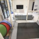 키놀키즈 이미지