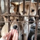 임병택 농장 이미지