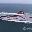페리 Daum카페
