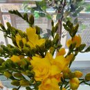 최연석치과의원 이미지