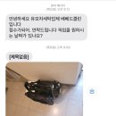 대구유모차세탁 달서구 베베드클린/내돈내산 후기