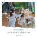 봉산동 강아지 | 대전 봉산동 아이와 가볼만한곳 실내 동물원 애니멀스타