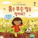 데이마크
