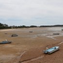 무안황토갯벌랜드B 이미지