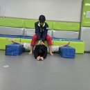 한국체대 꿈나무 태권도장 이미지