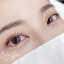 네일;브로우선