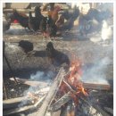 사내골농장 이미지