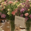 일화씽크 | 독립 새내기 직장인의 일상 (분량 조절 실패..)