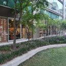 평창우선생 이미지