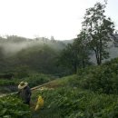 먼시골에서 이미지