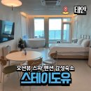 스테이도유 | 충청도 태안 감성 숙소 오션뷰 스파 펜션 스테이도유 B1 객실 후기