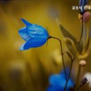 꽃동네 신내노인요양원 네이버블로그