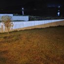 더 레이크 서지 이미지