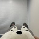 센텀약국 | 부산센텀피부과 프리미엄 탄력케어 스킨부스터 콜라겐 컨택터 후기