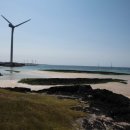 당근바다 이미지