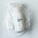 숲의 마음 이미지