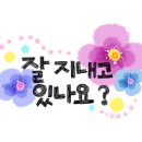 보배쌤보리김치와게장 이미지