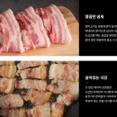 51푸드 이미지