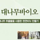 [동영상] 추천! 가볼 만한 곳 / 전남 담양군(2) 대나무바이오 이미지