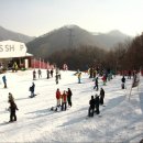 엘리시안 강촌 스키장 이미지