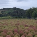 고랑포구 안내소 이미지