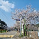 남평중학교다도분교장 이미지