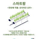미카엘요양원 이미지