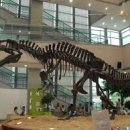 서대문자연사박물관 이미지