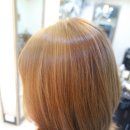 더베스트샾 이미지