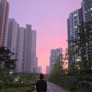 (주)쥬비스다이어트 관악점 | 쥬비스비용 사당다이어트 -6.7kg 주부(관악점 후기)