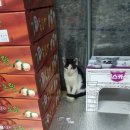 이레농원 이미지