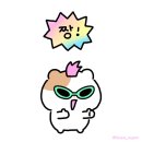 15초 따라 하기 왕초보 영어 (1) | 대전 영어회화 소규모 스터디 "컬컴" 내돈내산 솔직 후기 (가격, 장단점, 추천여부 등)