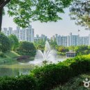 ㈜두바이항공투어 이미지