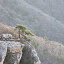 금산-11 | 남해 금산 (705m) 일출 산행 (2025.3.29)