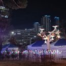 금강수변공원5 | 트리숲 세종시여행 겨울문화축제 크리스마스 야경 걷기좋은 산책명소 가볼만한곳 추천 이응다리 금강보행교