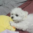 아침산 저녁해 | 부서져도 좋을 기억을 줘*⁀➷♥