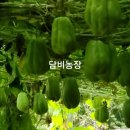 담비농장 이미지