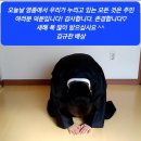 [인천 in] 김규찬 국회의원선거 출마예정자, 인천시는 '광역소각장 전면 재검토' 후속 행정절차 이행하라고 공개 요구 이미지