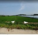 삼거리공인중개사사무소 이미지