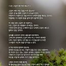 니는 고집이 왜 이리 세노?! 이미지
