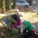 본동어린이집 이미지