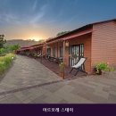 아르포레 스테이 네이버블로그