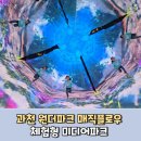 새들유치원 | 과천 원더파크 매직플로우 체험형 미디어파크 후기