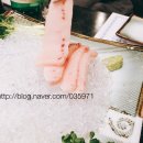 대양수지 이미지