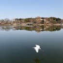 에이치에비뉴호텔덕진점 | <에이치에비뉴호텔 전주덕진점> 덕진공원 앞에서 만난 깔끔한 쉼