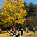 강촌스넥 이미지