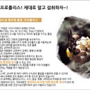 면역에 좋은 프로폴리스의 효능- 이미지