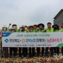 경북청과 이미지