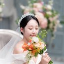 시노그라피스튜디오 이미지